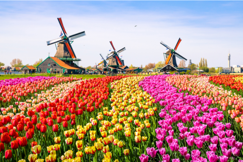 dutch-regulator-fines-tipico-e531,250-in-offshore-gambling-crackdown